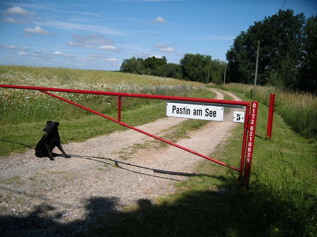 Am See Pastin エクステリア 写真